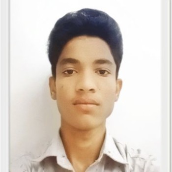 Zaheer Kankaiyanaver
